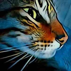 Meet your Posher, Teresa